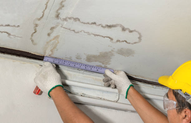 Reliable Structural Drying contractor in New Market, VA by Water Damage Irwin